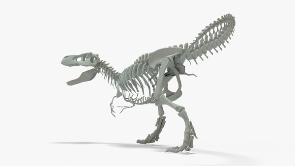 modelo 3d Tyrannosaurus Rex Rigged Basemesh Skeleton - TurboSquid 2068064