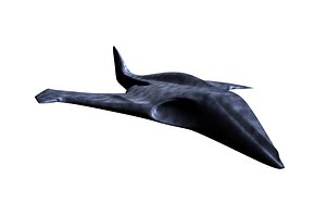 plane future 3D model