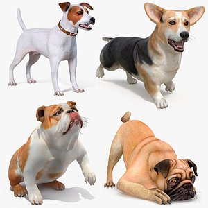 Small Dogs Rigged for Cinema 4D Collection 2