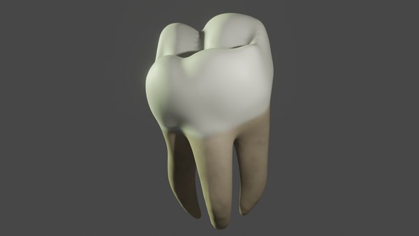 磨牙3d模型
