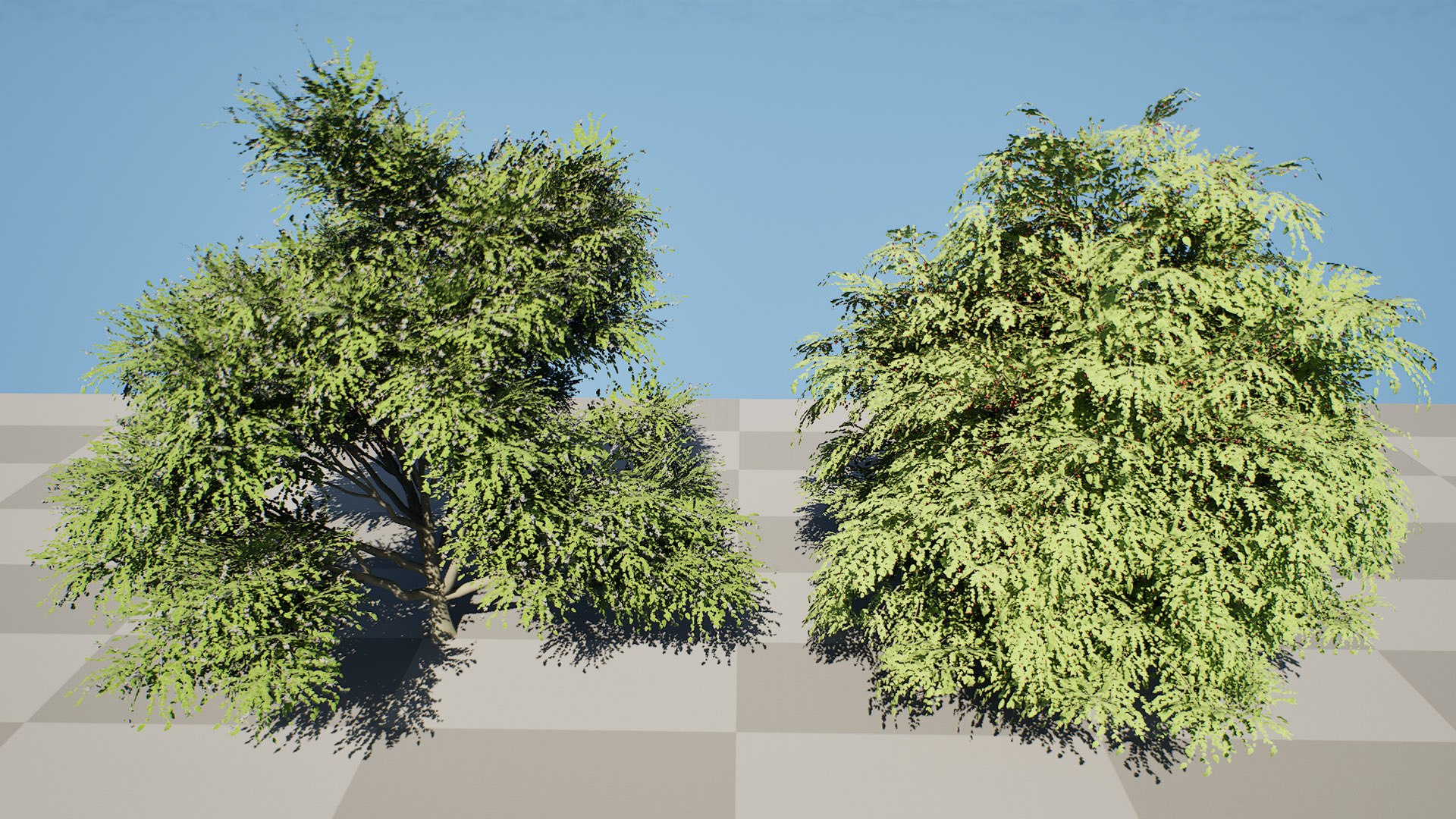 3D Photorealistic North American Berry Shrubs https://p.turbosquid.com/ts-thumb/fo/Ldl7hb/GS/highresscreenshot00003/jpg/1780606255/1920x1080/fit_q87/89ab17bcd4193e053d76a745a7c53287af8a7b20/highresscreenshot00003.jpg