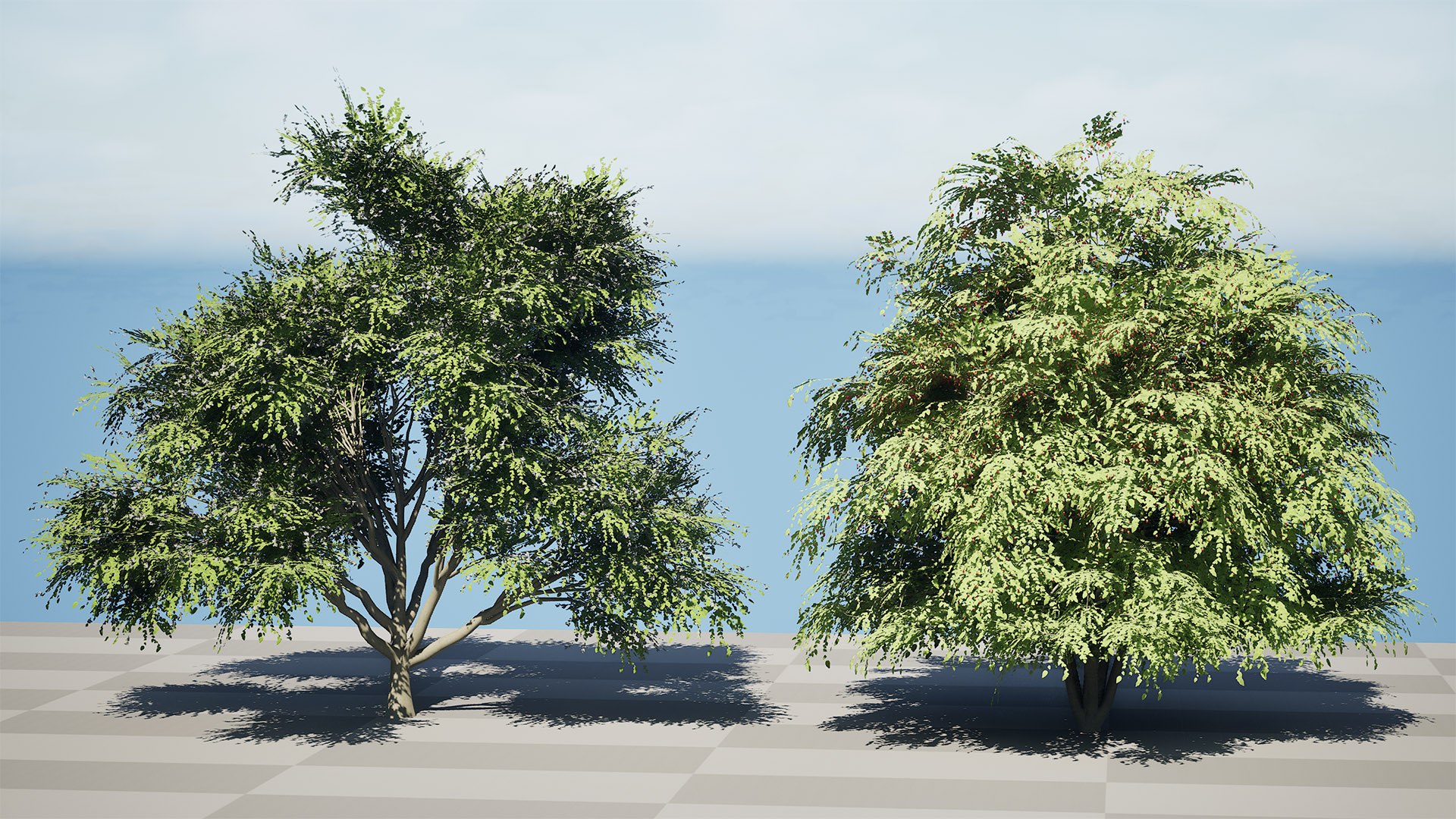 3D Photorealistic North American Berry Shrubs https://p.turbosquid.com/ts-thumb/fo/Ldl7hb/Lx/highresscreenshot00000/jpg/1780606253/1920x1080/fit_q87/10f547b0d07ed69d466675673034009a0951a286/highresscreenshot00000.jpg