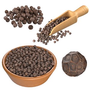 Black dried peppercorn set model