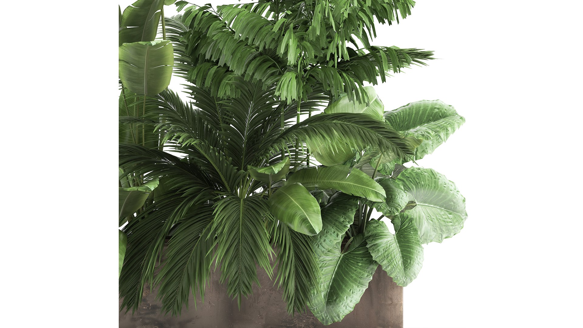 Houseplants in a flowerpot for the interior 919 3D model https://p.turbosquid.com/ts-thumb/fo/acRBkA/3q/1plantset0804202103/jpg/1617968105/1920x1080/fit_q87/b0d93644120b2df397cca53eb511768975baf4fc/1plantset0804202103.jpg