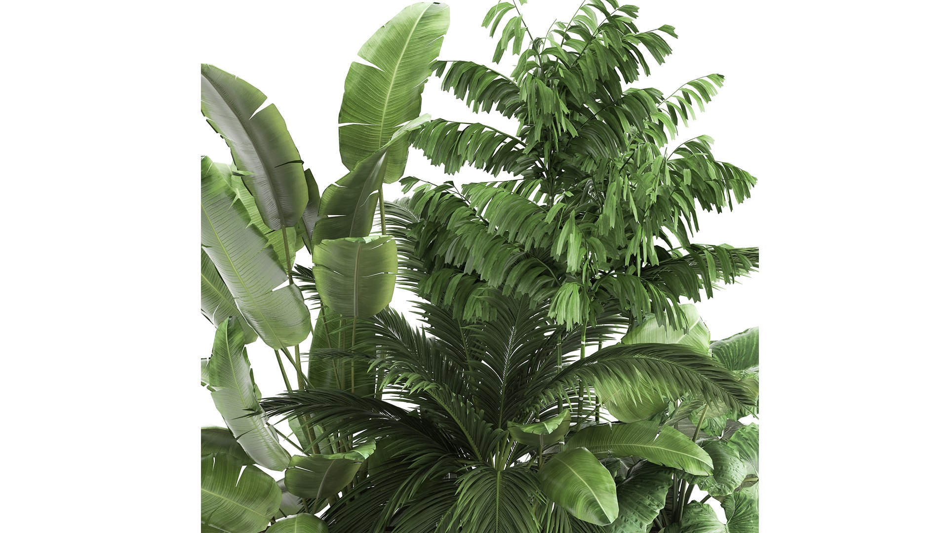 Houseplants in a flowerpot for the interior 919 3D model https://p.turbosquid.com/ts-thumb/fo/acRBkA/K0/1plantset0804202104/jpg/1617968105/1920x1080/fit_q87/0dc005570d80bc07f9716c5a7d310eb311d7960a/1plantset0804202104.jpg