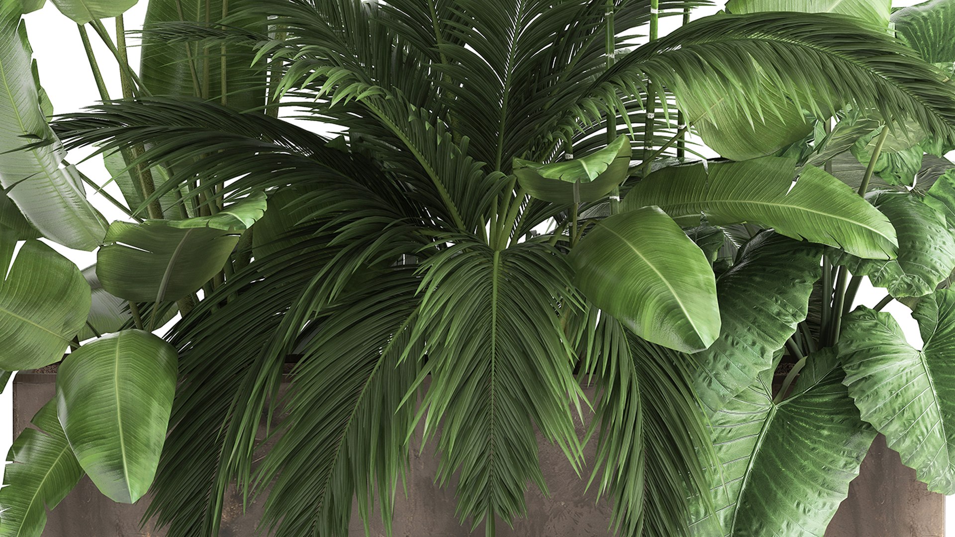 Houseplants in a flowerpot for the interior 919 3D model https://p.turbosquid.com/ts-thumb/fo/acRBkA/XD/1plantset0804202101/jpg/1617968113/1920x1080/fit_q87/89338cc594f7af8816605643c855d9e6a6365e4d/1plantset0804202101.jpg