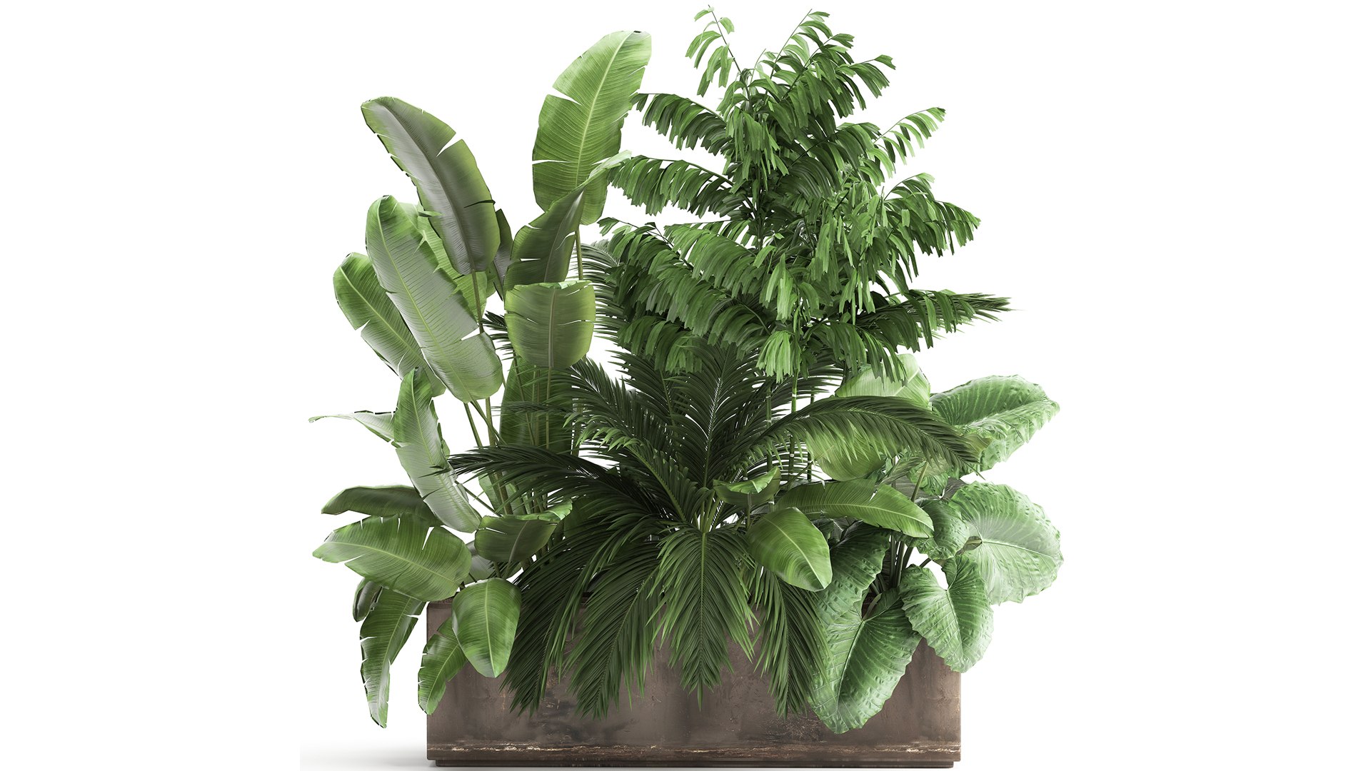 Houseplants in a flowerpot for the interior 919 3D model https://p.turbosquid.com/ts-thumb/fo/acRBkA/bJ/1plantset0804202100/jpg/1617968104/1920x1080/fit_q87/e44fbe6814e5e1d31f4ae1f793992577a44fdffd/1plantset0804202100.jpg