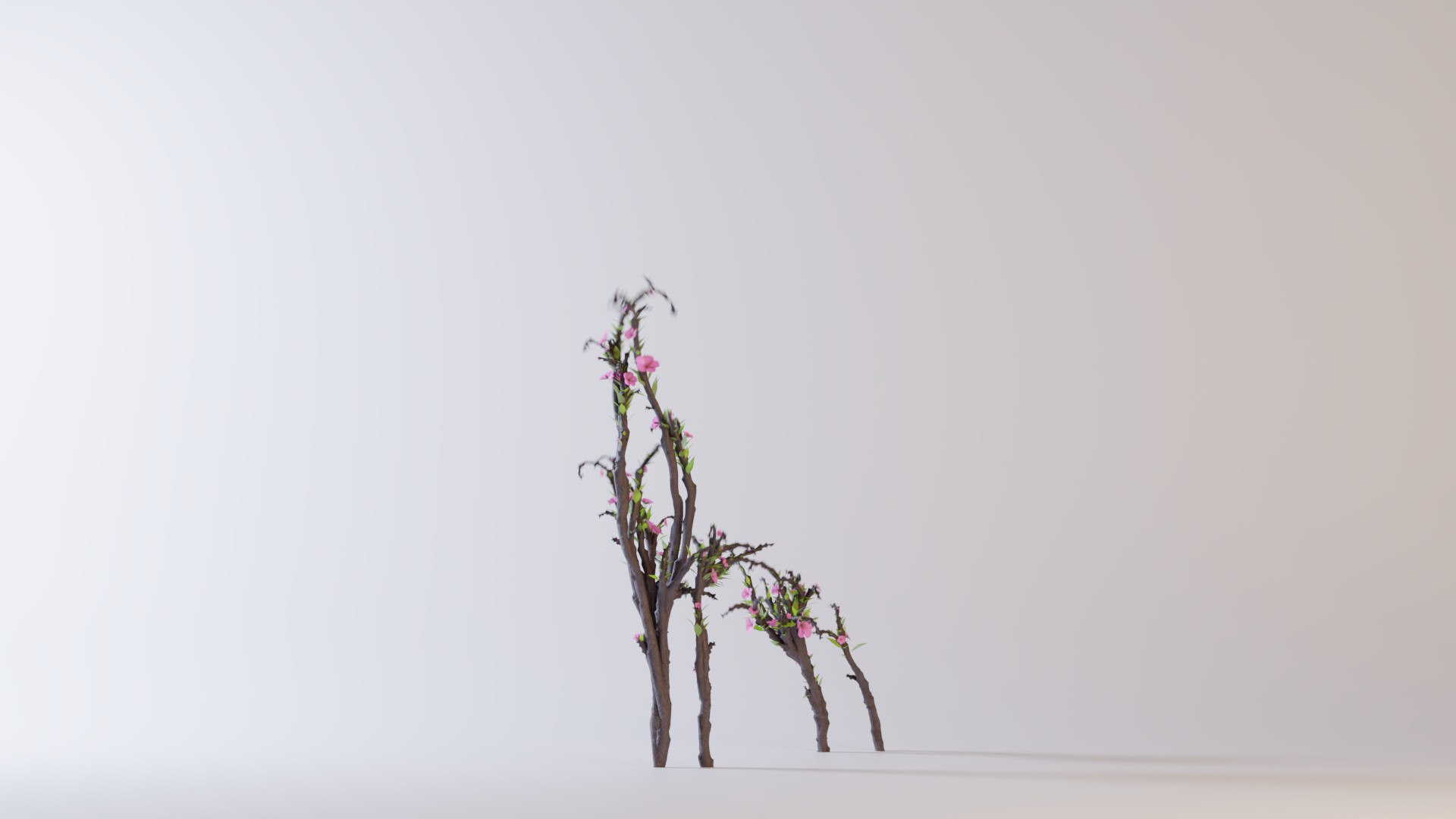 Growing Tree in a shape of a deer animation 3D model https://p.turbosquid.com/ts-thumb/fo/kL1Vri/KS/preview02/jpg/1774975295/1920x1080/fit_q87/c2de6f066aee52f112c1f9c7b66d7ecabc4ca3c8/preview02.jpg