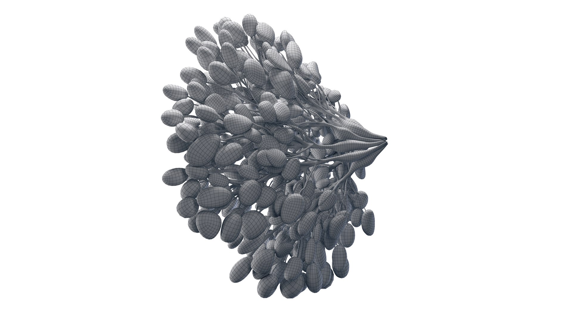 Mammary Glands 3D model https://p.turbosquid.com/ts-thumb/fo/kPLl5t/BO/mammary_glands_galhos_renders_galhos_wire_0001/jpg/1708932438/1920x1080/fit_q87/1bd8ea2c942fc8528e07ec9ecdc5c640905c3fcc/mammary_glands_galhos_renders_galhos_wire_0001.jpg