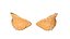 Mammary Glands