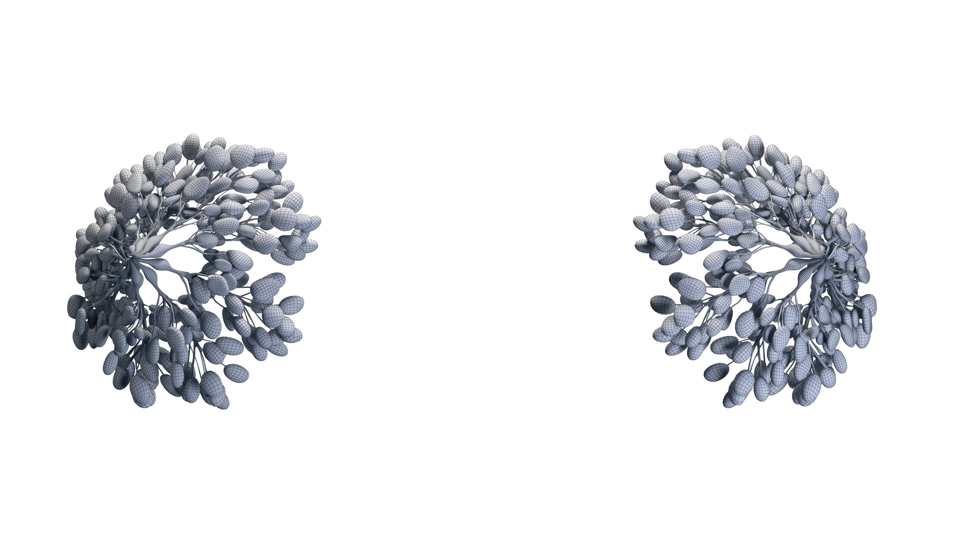 Mammary Glands 3D model https://p.turbosquid.com/ts-thumb/fo/kPLl5t/TP/mammary_glands_galhos_renders_galhos_wire_0000/jpg/1708932437/1920x1080/fit_q87/530b80771a437d69d0efedd0e927b13393b80b0d/mammary_glands_galhos_renders_galhos_wire_0000.jpg