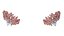 Mammary Glands