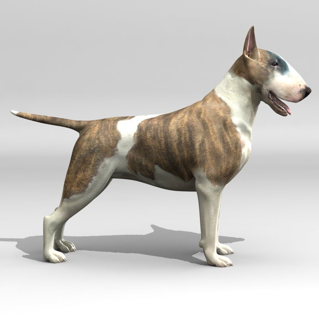 Dog Mutand 3D model - TurboSquid 2087666