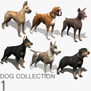 Dog Collection (1)