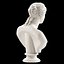 Venus De Milo Bust