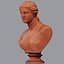 Venus De Milo Bust