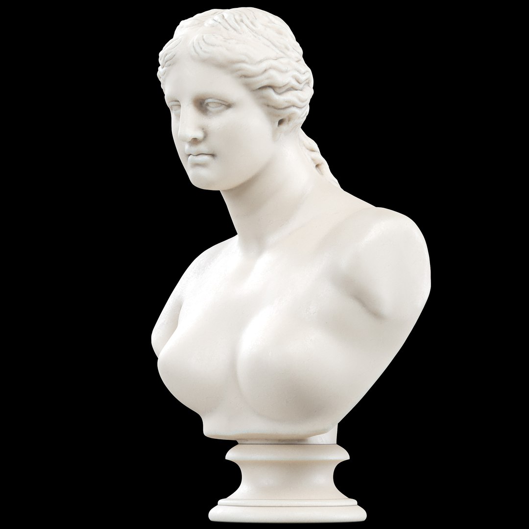 3D Model Venus De Milo Bust - TurboSquid 2026157