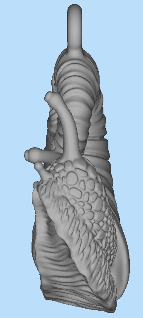 3D snail pendant jewelry model https://p.turbosquid.com/ts-thumb/fp/GYXy1o/6vT7fnZM/54/jpg/1575924173/1920x1080/fit_q87/0bcaa624a1b31c254d9295f54d5f5d9e5c7343b7/54.jpg
