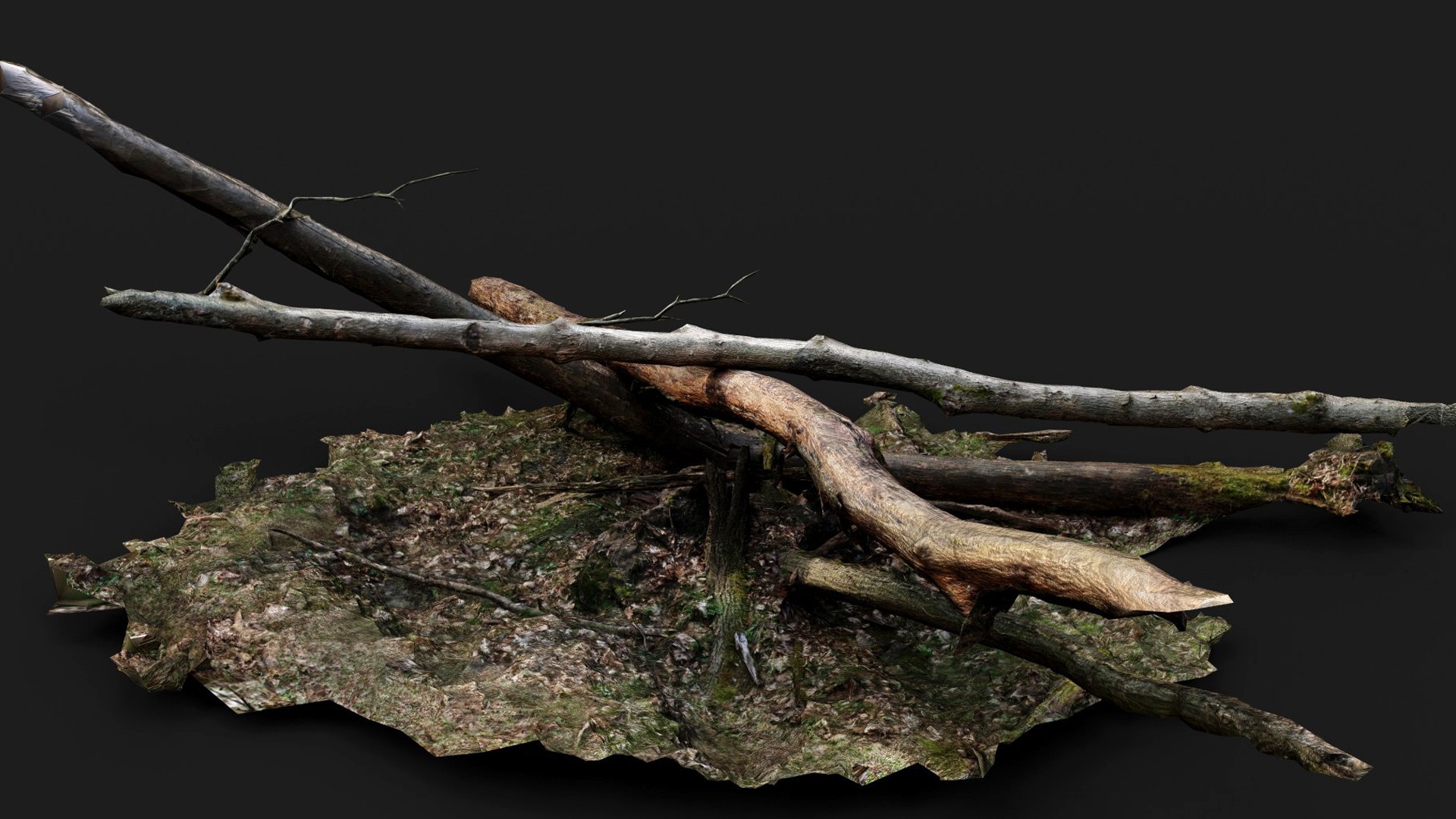Broken Trees Forest Terrain Pt3 PBR Photogrammetry 3D Model ...