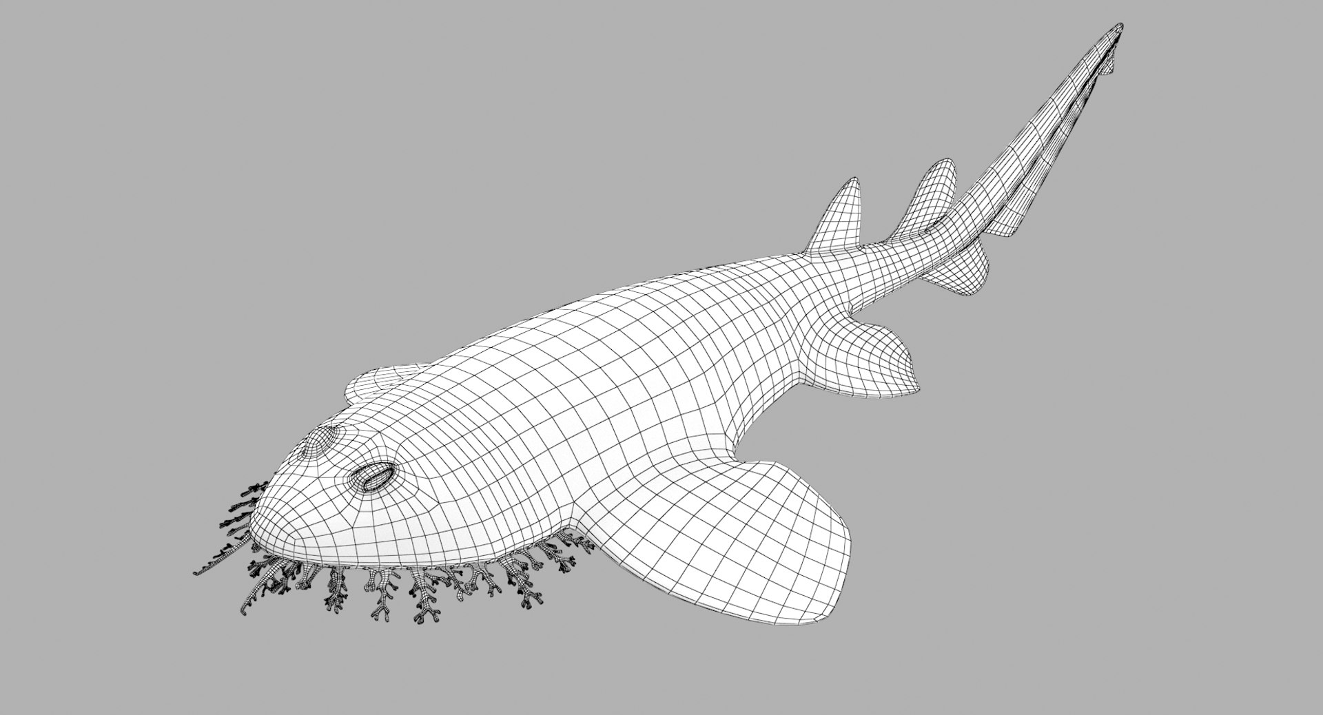 Wobbegong Shark 3D Model - TurboSquid 1330280