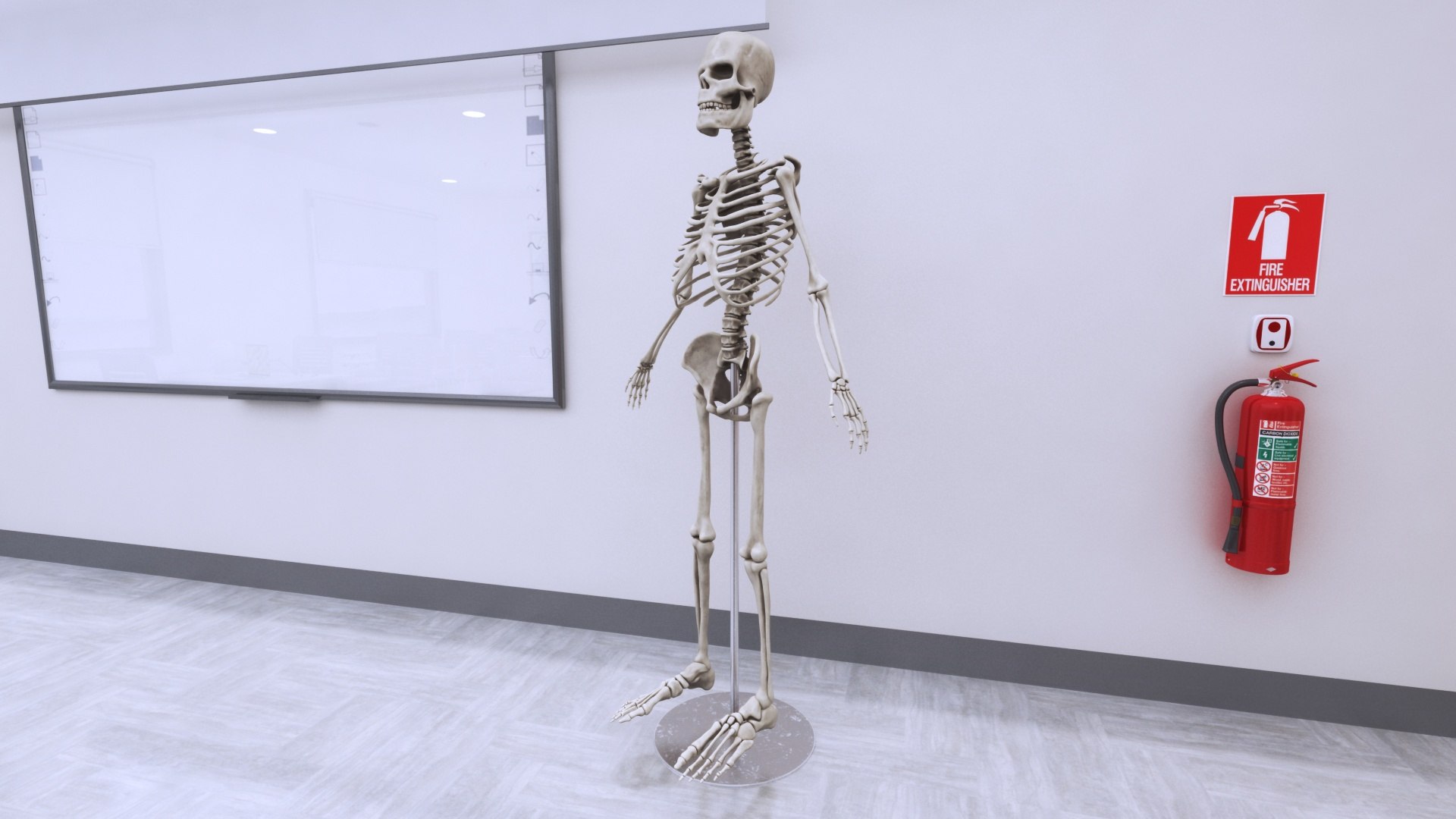 3D School Lab https://p.turbosquid.com/ts-thumb/fp/eJ6d08/IX/schoollab7/jpg/1757254907/1920x1080/fit_q87/31d0c4afea37d3c2b349407d114774504178500c/schoollab7.jpg