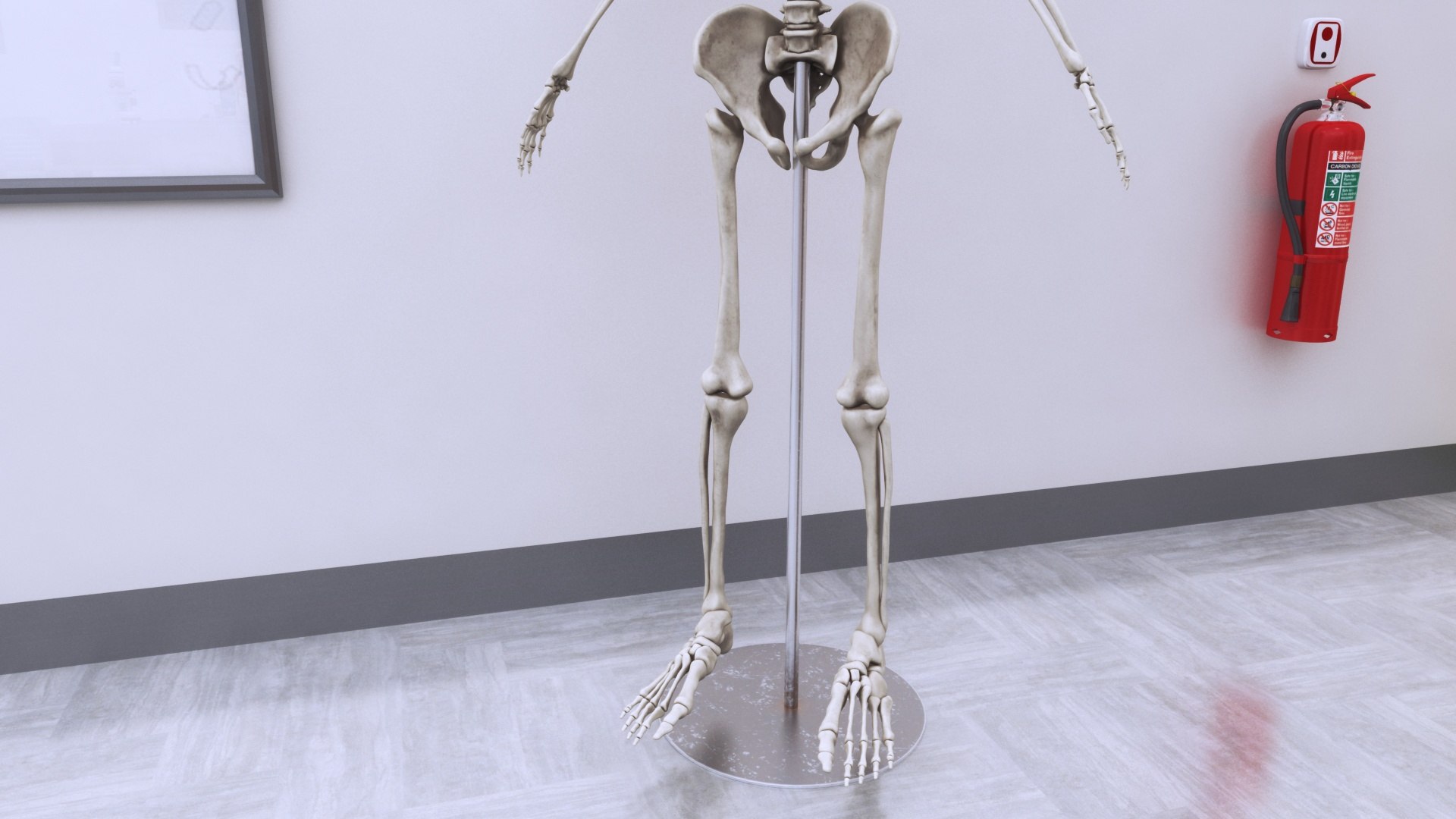 3D School Lab https://p.turbosquid.com/ts-thumb/fp/eJ6d08/PC/schoollab15/jpg/1757254911/1920x1080/fit_q87/1bf55b6a05261f82a3853c5699007562c168341c/schoollab15.jpg