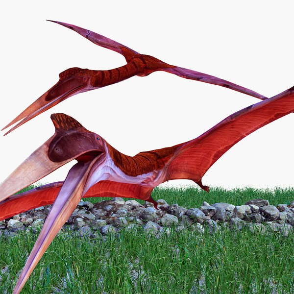 3D model Quetzalcoatlus FLAYING