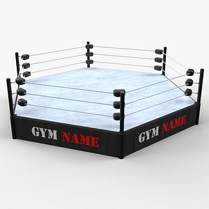 3D PBR Modular TNA Six sided Hexagon Wrestling Rings model