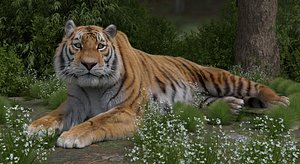 High Quality Realistic Tiger Fully Rigged Fur Animated Blender
