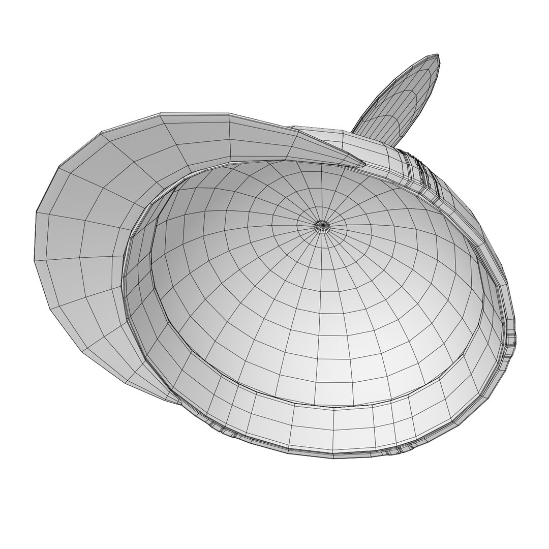 3d Propeller Hat Model