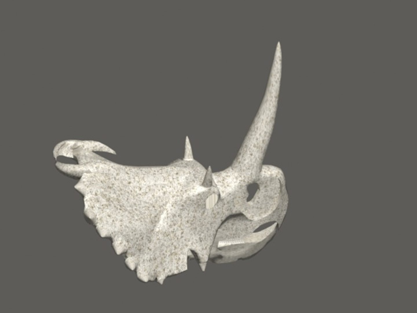 centrosaurus skull