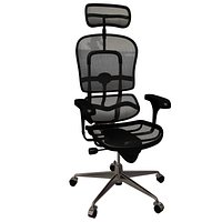 Ergon Human President Chair