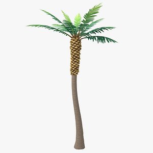 3D Cartoon Palm Tree 03