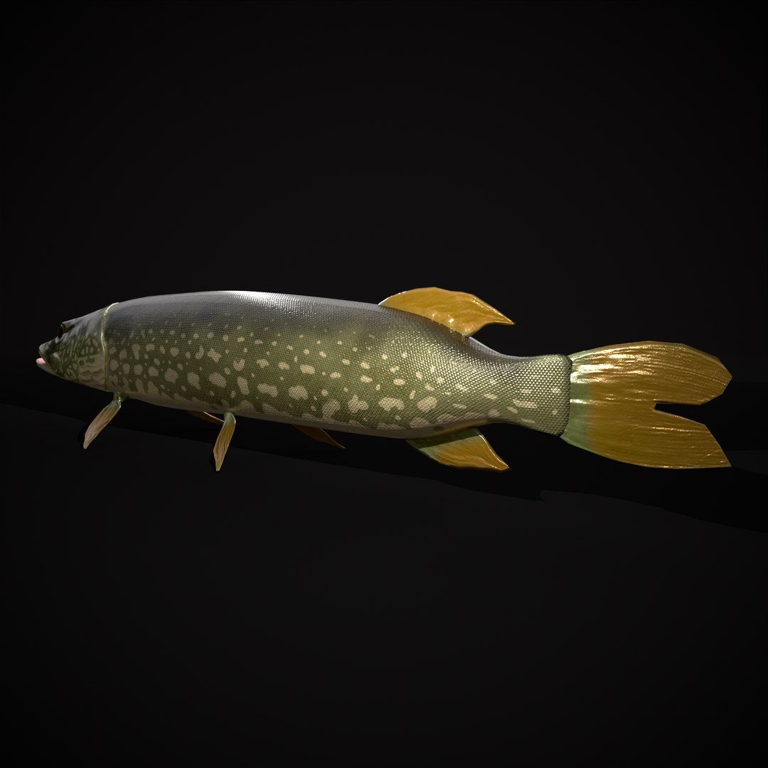 3D Northern Spotted Pike https://p.turbosquid.com/ts-thumb/fq/8lSBo4/04/r5/png/1700320923/1920x1080/fit_q87/4d8ea07abb12cfebb4e7cda3f7cb23614846c72a/r5.jpg