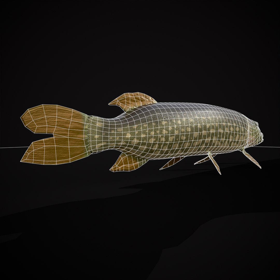 3D Northern Spotted Pike https://p.turbosquid.com/ts-thumb/fq/8lSBo4/0u/r18/png/1700321176/1920x1080/fit_q87/9594841772fc9e972963f0e6919e125493f773cf/r18.jpg