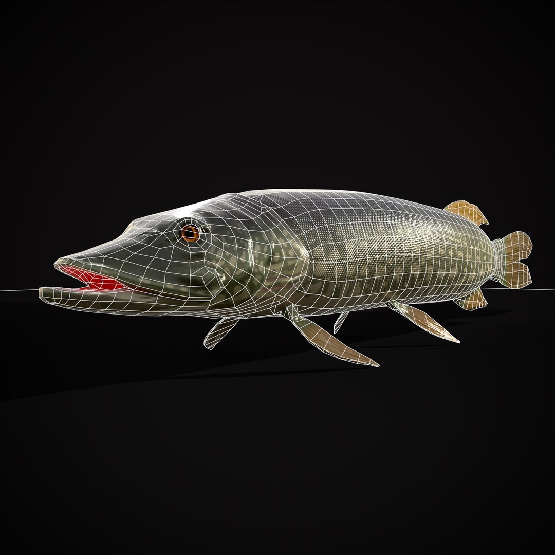 3D Northern Spotted Pike https://p.turbosquid.com/ts-thumb/fq/8lSBo4/aK/r20/png/1700321269/1920x1080/fit_q87/cdda0e34574950d931dae93c53def213d07646b4/r20.jpg