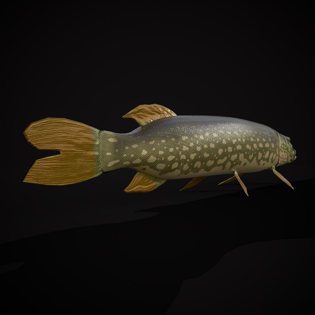 3D Northern Spotted Pike https://p.turbosquid.com/ts-thumb/fq/8lSBo4/eM/r17/png/1700321173/1920x1080/fit_q87/752361a71b8da687df989eb8f9d1adee5dbae528/r17.jpg