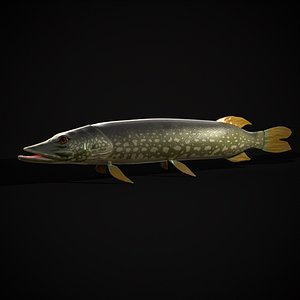 Northern Spotted Pike