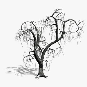 Winter Tree with Snow (5)