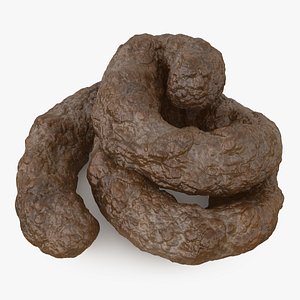 3D model Poop 03