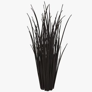3D model black reed grass