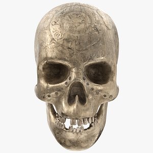 3D ancient skull - pbr