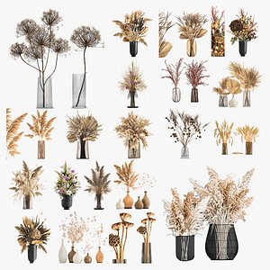 Collection of bouquets of dried flowers 30 pieces 3D model