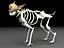 Skeleton Creature