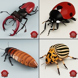 bugs set madagascar 3d max