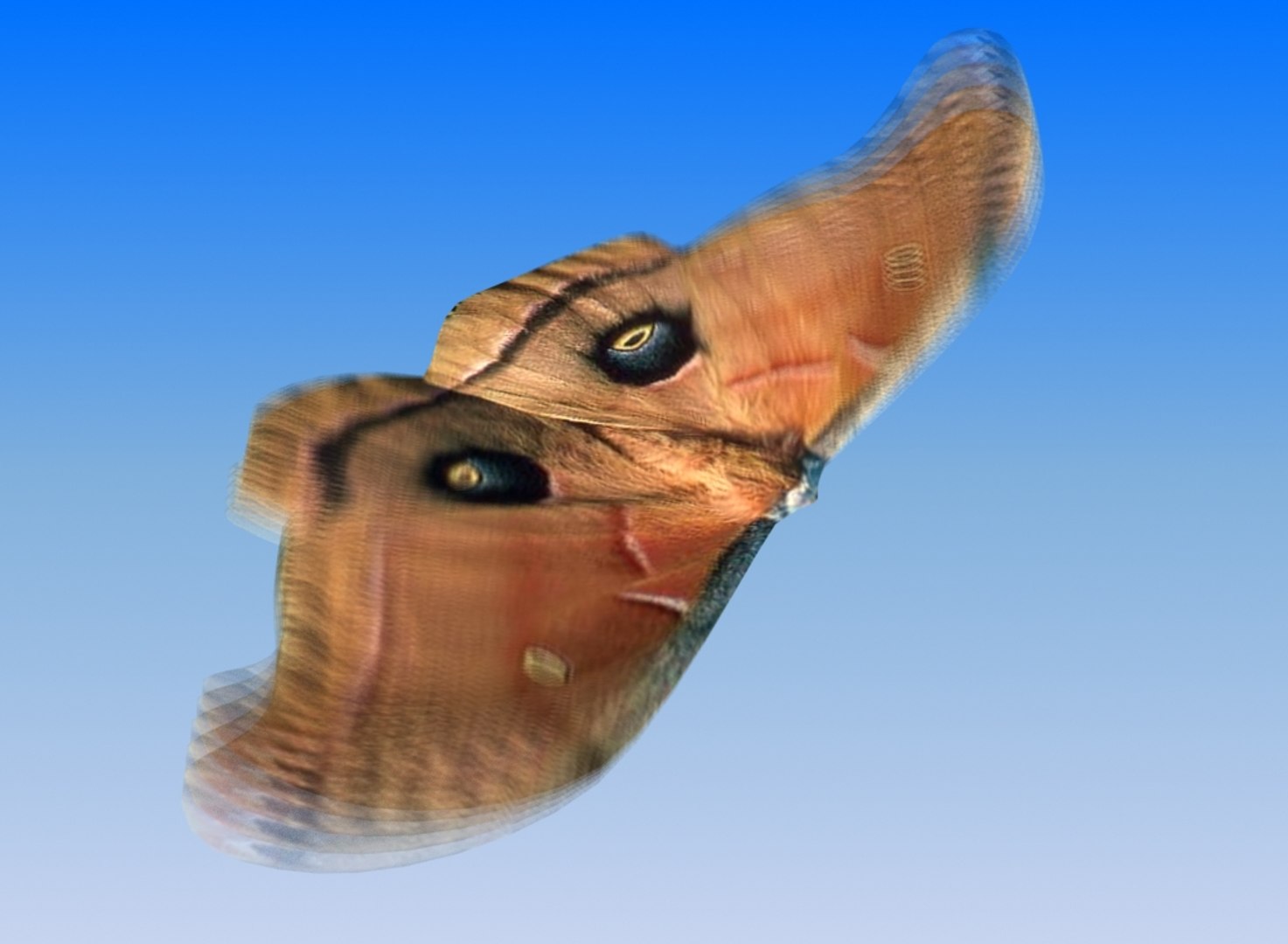 free max mode butterfly https://p.turbosquid.com/ts-thumb/fq/vkQTML/h13g9ZJp/butterfly4/jpg/1172130284/1920x1080/fit_q87/ddf15f7c68c5ff979f8719bbe388fdf6ca8abd4d/butterfly4.jpg