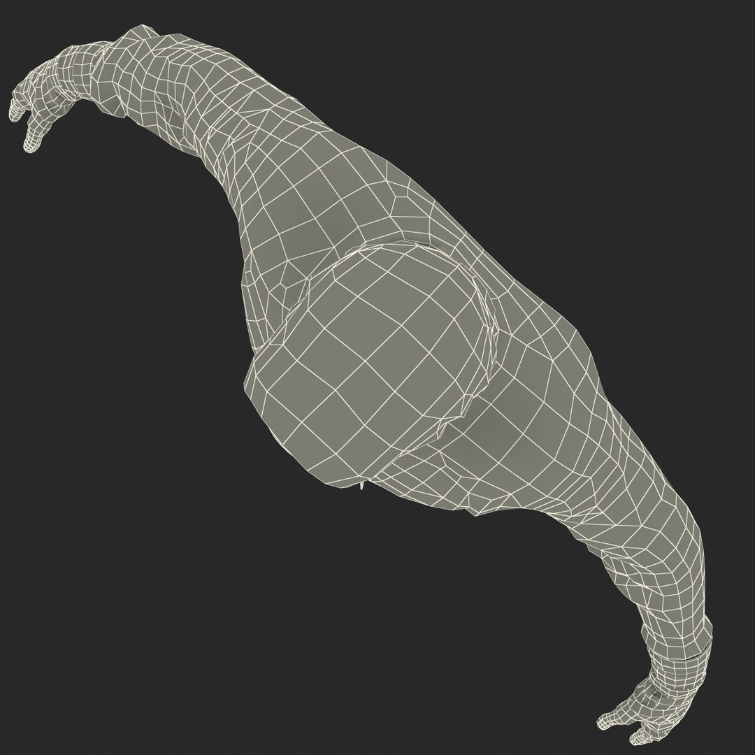 3d ninja rigged model https://p.turbosquid.com/ts-thumb/fq/xdzwUH/opeDzW6E/ninjarigged_39/jpg/1397515568/1920x1080/fit_q87/28750c1c50b667e45d5ce0380f06842391c5e7da/ninjarigged_39.jpg