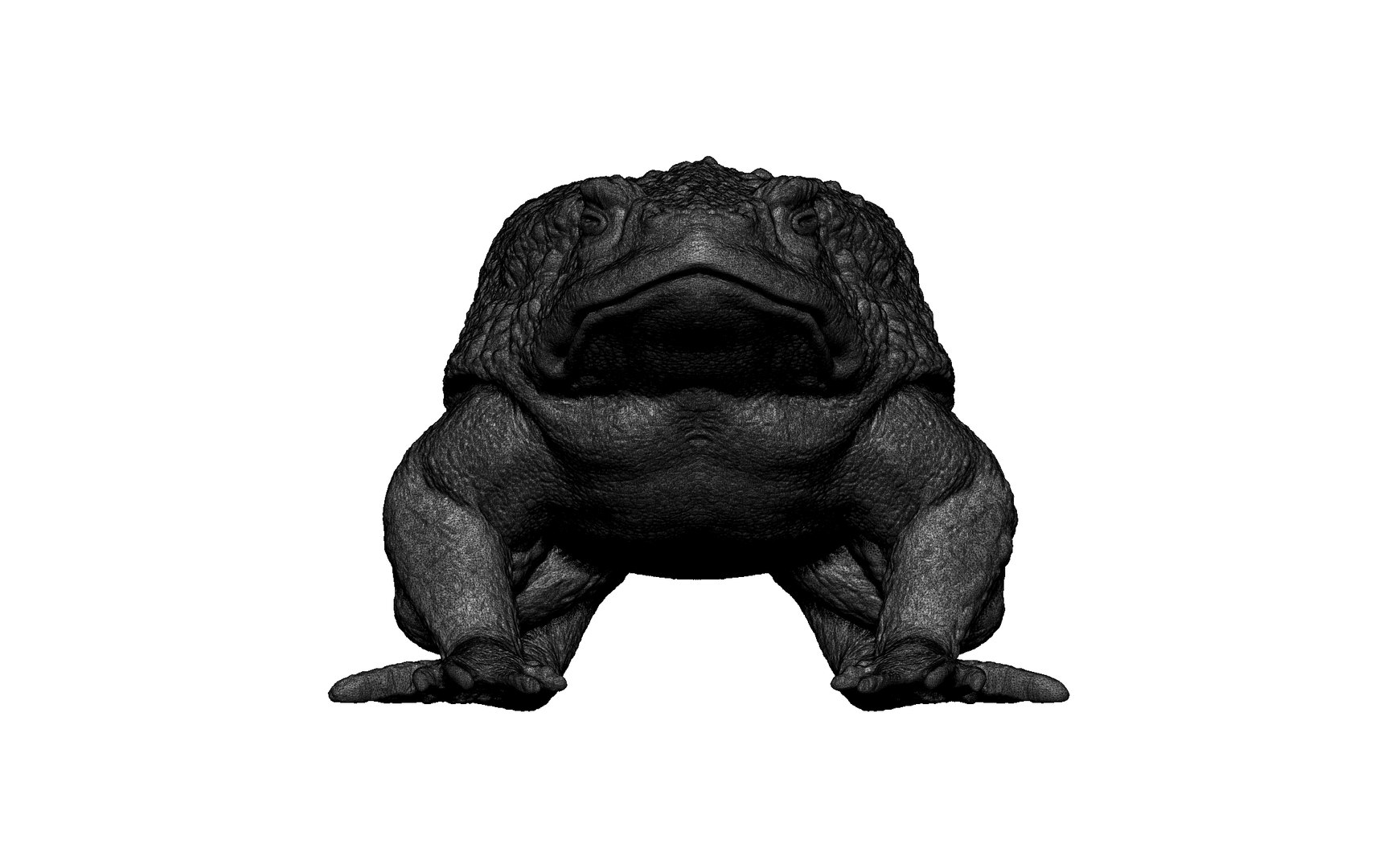 3D Frog Toad - TurboSquid 2221262