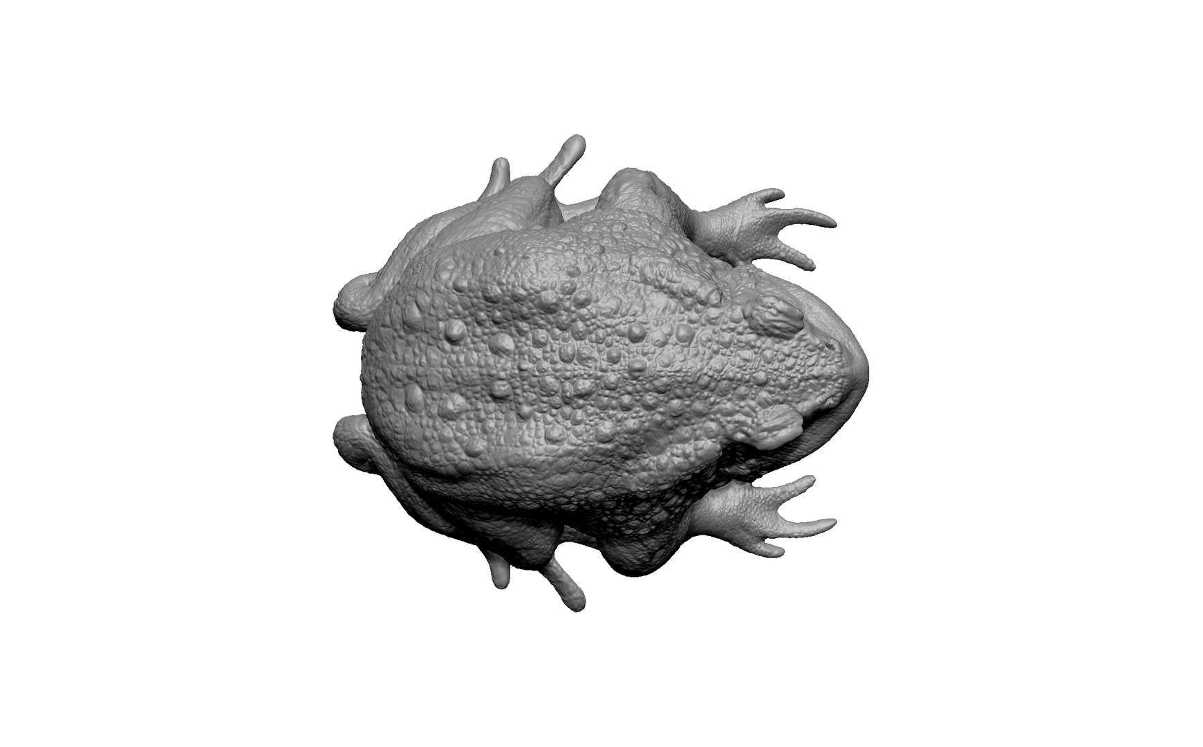 3D Frog Toad - TurboSquid 2221262