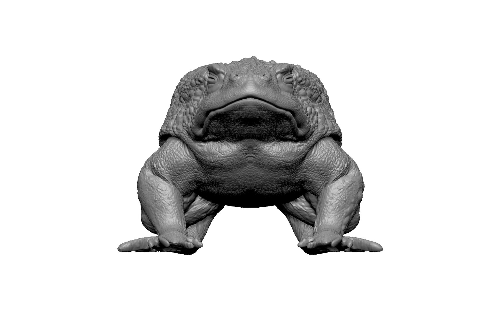 3D Frog Toad - TurboSquid 2221262